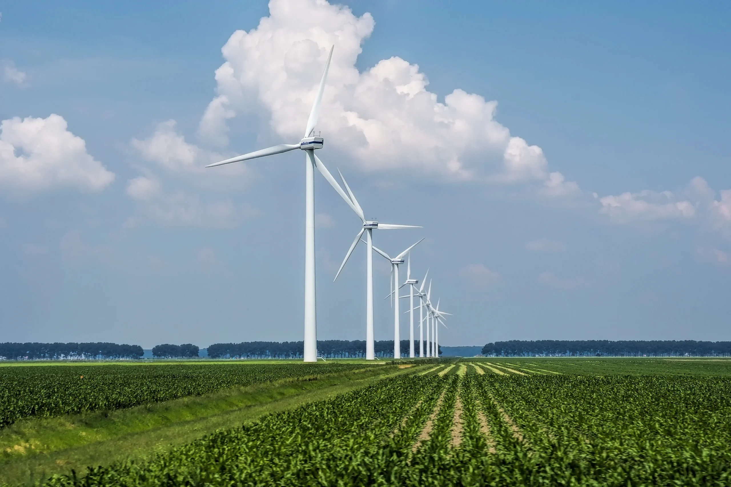 beautiful-view-wind-turbines-grass-covered-field-captured-holland (1)